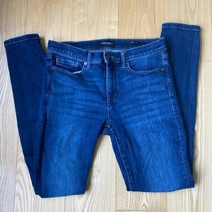 Banana Republic Premium Denim Skinny Jeans 29L